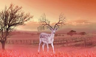 怎么删除qq好友 怎么删除qq好友