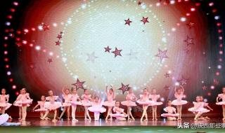 西安市小天鹅艺术团和西安小天鹅艺术团有区别吗 陕西省小天鹅艺术团