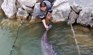 三峡水库全长多少公里 三峡水库在哪个省