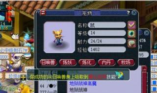 吸附石技巧 吸附石技巧