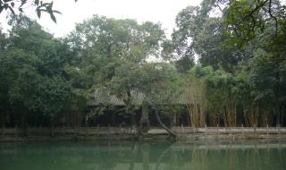 新繁东湖中学贴吧 新繁东湖中学贴吧